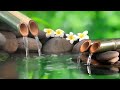 Relaxing Music 24/7 || Healing Music, Meditation Music, Spa Music, Sleep, Zen, Study Music, River