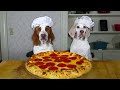 Dogs make pizza funny chef dog maymo  potpie cook pizza