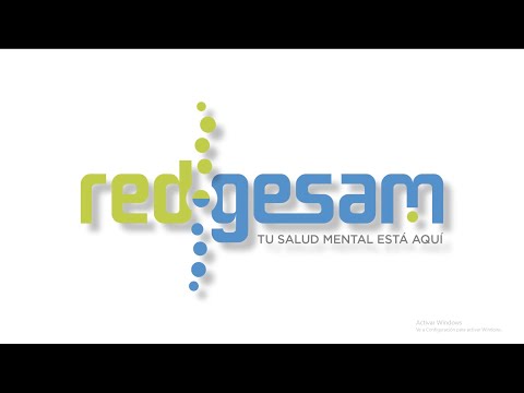 Redgesam, sus primeros