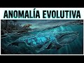 La Ingeniería de la Ballena Azul: De Pakicetus a Leviatán (Análisis Biológico) 🧬🐋