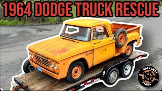 WILL IT RUN?? 1964 Dodge Truck Rescue! ExCal Trans truck!