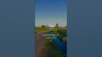 #المصحف #اكسبلور #حالات_واتس #القرآن_الكريم روائع التلاوات النادره لفضيله الشيخ عبد الباسط