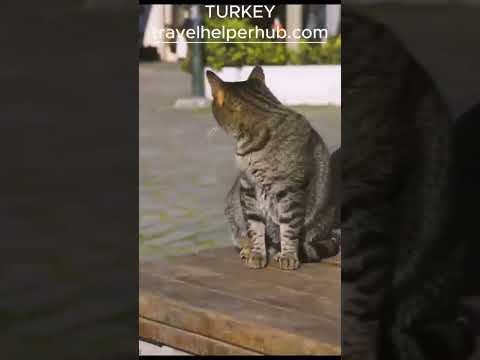 Unveiling Turkey's Hidden