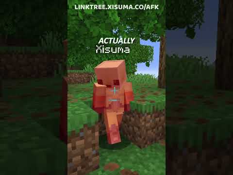 NO PLAYER AFK MOD #minecraftmods #minecraftshorts #hermitcraft