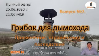 Грибок для дымохода. Когда разрешён, а когда запрещён. Последствия от установки.