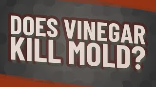 Does vinegar kill mold?