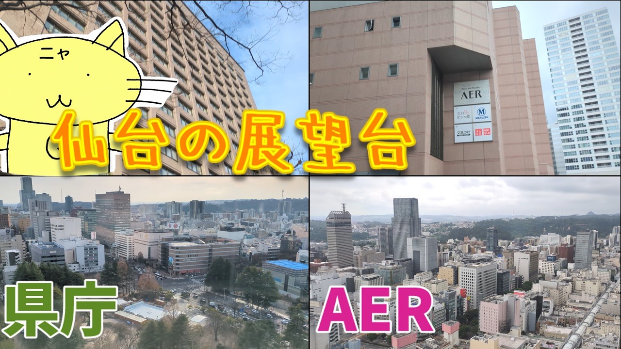 仙台の展望台に行ってみた！（その他: みやぎポイントの獲得方法，収益化ポリシー，アンケートなど）【自由回】