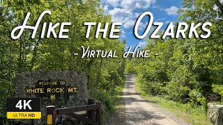 Virtual Hike with Relaxing Forest Sounds | Silent Hike the Ozarks in Spring [4K]
