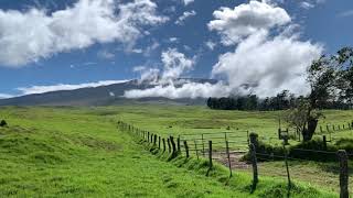Mana Road