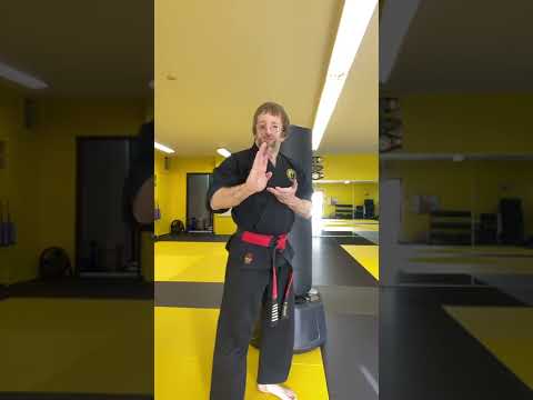 Taking Taekwondo Knife