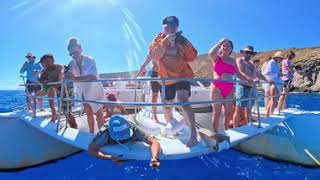 Off the coast of #niihau #kauai #hawaii watching spinner #dolphins on a boat charter