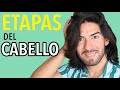 COMO TENER EL CABELLO LARGO: DIFERENTES ETAPAS DEL CABELLO - J.M. Montaño