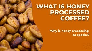 What Is Honey Processed Coffee | HELENA.,JSC