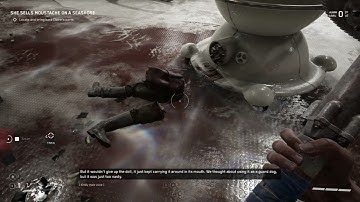 A story of a dog - Atomic Heart Chirper Recording