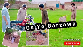 Os Ye Garzawa 🐎 | #confusedboys #afkarkhan