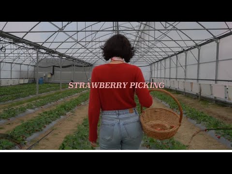 მარწყვის ტარტი | food4.ge lifestyle