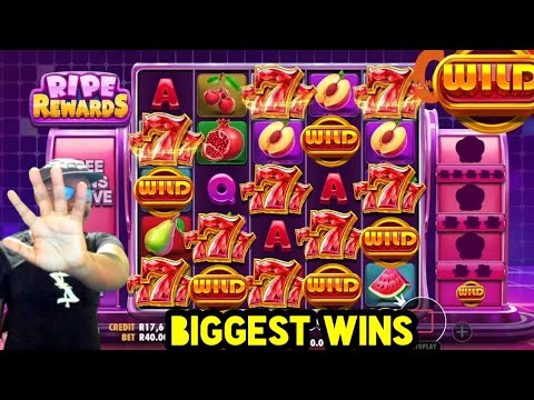Blackjack Tips From Professional Gambler Mikki Mase
