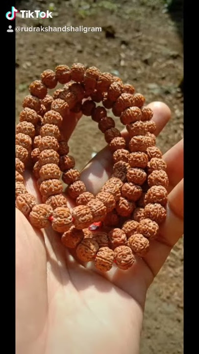 ORIGINAL RUDRAKSH MALA