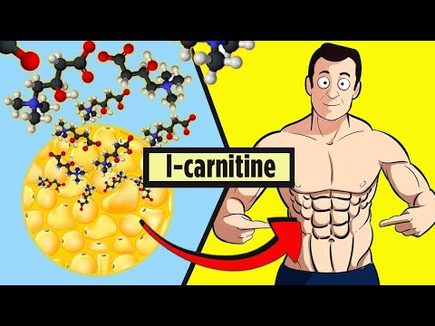 Лучшие Добавки для Похудения. l- carnitine, протеин, Lipo-6 и жиросжигатели.