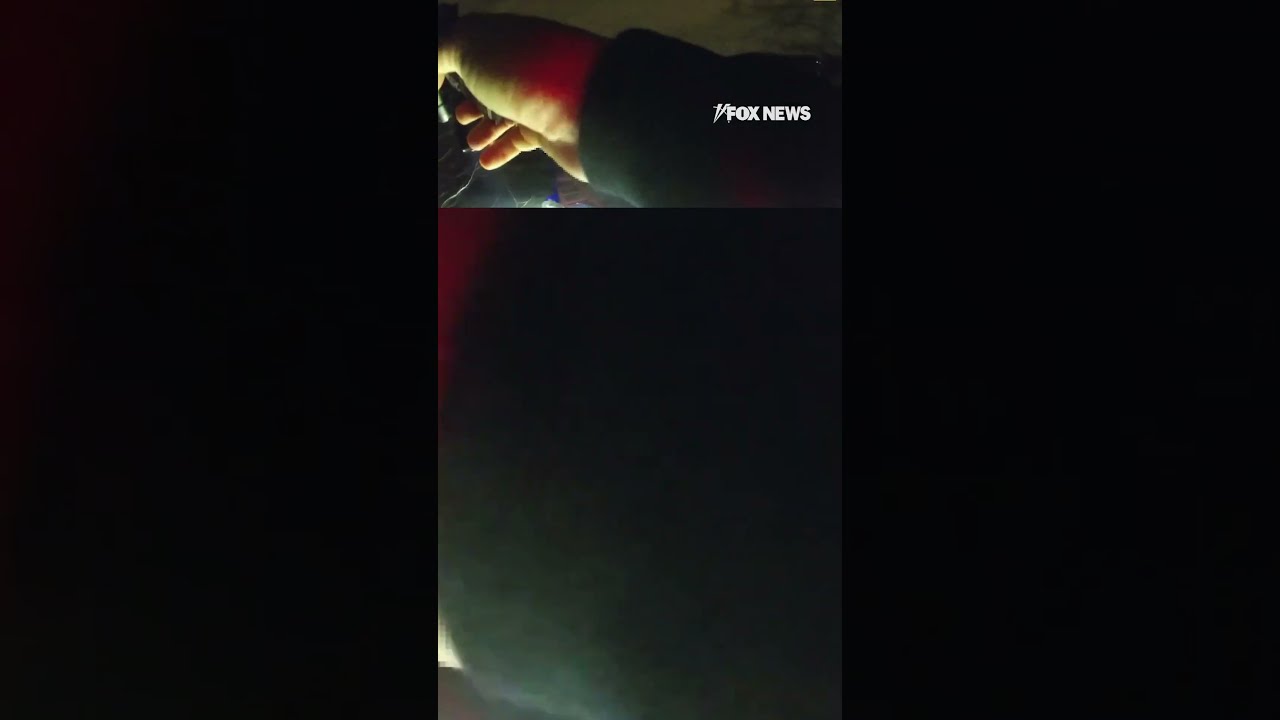 Bodycam Footage Shows NYPD Officers Heroically Rescuing A Man After He Fell Into Frozen Lake 