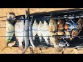 Shoreline Light Jigging and Ultralight Fishing Game multiple strikes! One Monster got away!