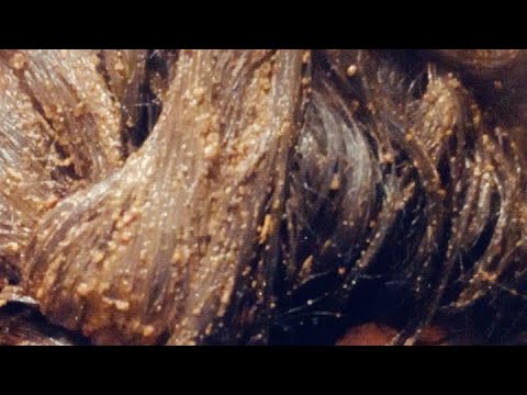 وصفه مذهله وهااائله ماتصدقيش المكونات ديما عندك