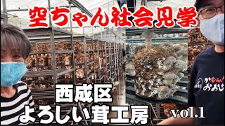 【よろしい茸工房見学vol.1】西成区にある「しいたけ工場」にお邪魔しました