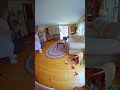 Goat Invades Grandma's House!