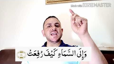 سوره الغاشيه (الجزء الثاني)