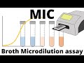 Understanding the Broth Dilution Method and MIC