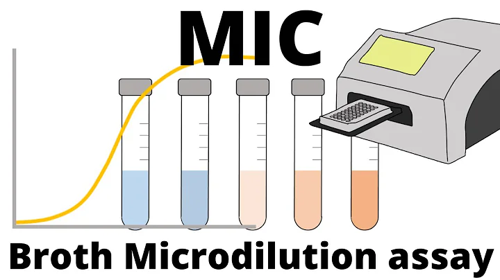 Broth Microdilution assay - How to determine the MIC (Minimum Inhibitory Concentration)