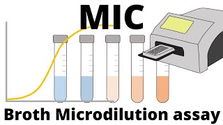 Broth Microdilution assay - How to determine the MIC (Minimum Inhibitory Concentration)