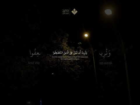 ونريد أن نمن على الذين استضعفوا في الأرض الآية 5 من سورة القصص المنشاوي