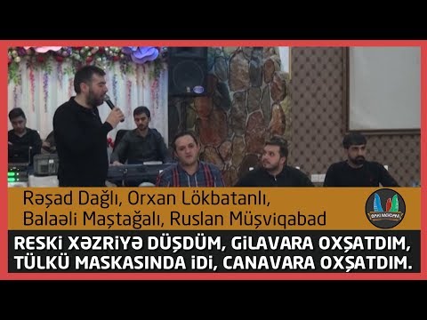 Video: Tülkülər Xoşbəxtlik Gətirir