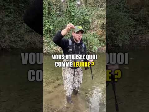 Vidéo: Kumzha (poisson) : description. Truite de mer, de lac et de ruisseau