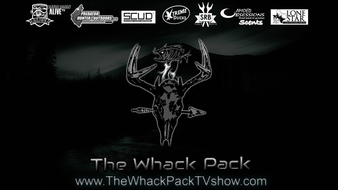 The Whack Pack Sizzle Reel 2017