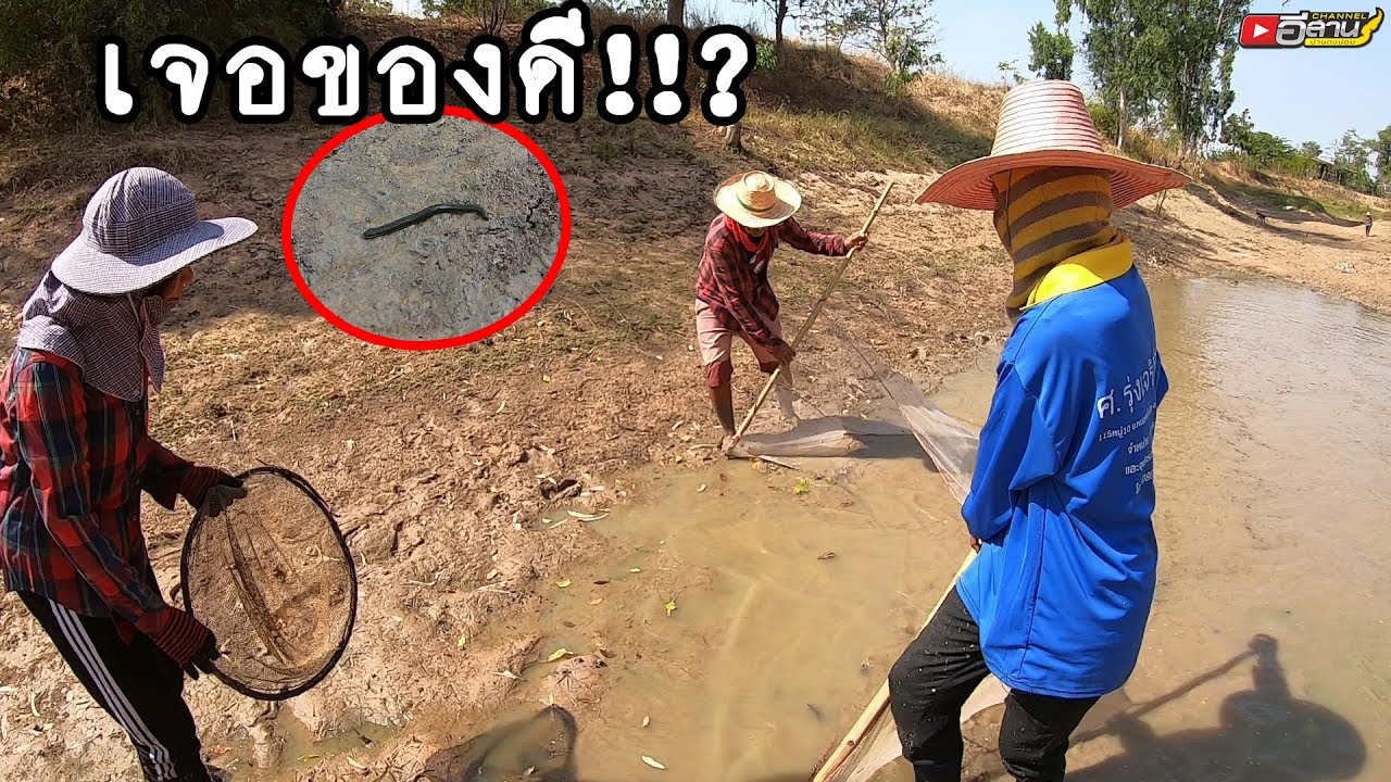 แตกกระเจิง ทั้งทีม!! ส่อนปลาตามห้วยหนองอยู่ดีๆ ไปเจอของดีเข้าให้!!?