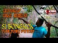 🔴 MENYINGKAP KISAH SEBENAR SI BONGKOK TANJUNG PUTERI | KOTA TINGGI, JOHOR.