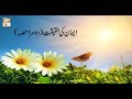 Watch Meri Pehchan - 17th July 2018 - ARY Qtv Online In HD