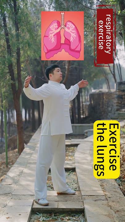 Exercise to maintain the lungs #wudang #taichi #health#Qigong # Chinese Kung Fu