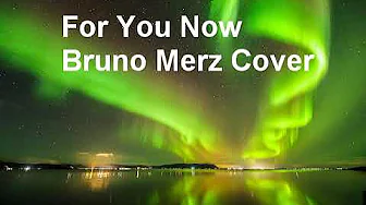 for you now - bruno merz cover for you now - bruno merz cover