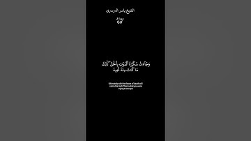 كروما شاشة سوداء قرآن كريم القارئ ياسر الدوسرى سورة ق 🕋❤️