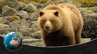 Glacier Bay National Park  Unspoiled Wilderness of Breathtaking Beauty