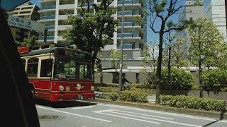 Автомобили и прохожие Иокогамы (Япония, июнь 2019)