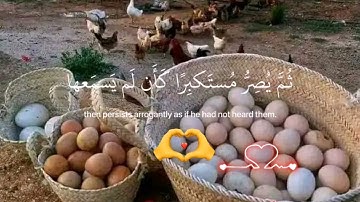 (يسمع أيات الله تتلى عليه ) القارئ ياسر الدوسري