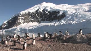 Antarctica Expedition Cruise Antarctic Peninsula