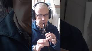 Kittys Wedding - Hornpipe - Tin Whistle