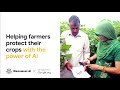 Using AI to help farmers increase their yields | Wadhwani AI x Google.org