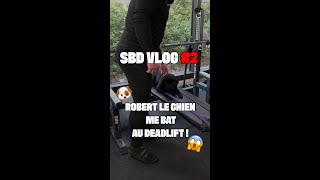 SBD VLOG #2 - Un chien me bat au Deadlift - #sbd #powerlifting #benchpress #squat #deadlift