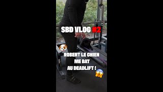 SBD VLOG #2 -  Un chien me bat au Deadlift - #sbd #powerlifting #benchpress #squat #deadlift